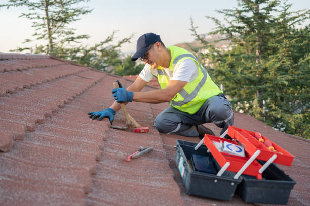 Roof Gutter Cleaning in Las Maravillas, NM