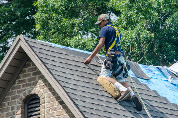 Best Shingle Roofing Installation  in Las Maravillas, NM